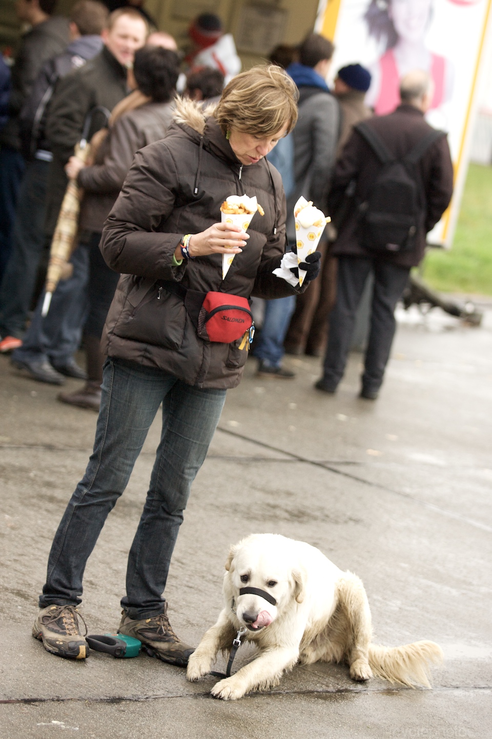 2011-world-cup-koksijde-17-dog-with-frites
